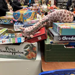 Bezoeker foto van Kringloopcentrum Amersfoort in Amersfoort