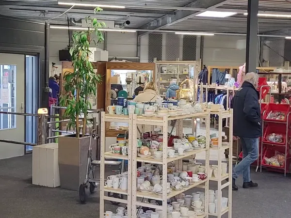 Winkelvloer met glazen vitrinekast vol huishoudelijke spullen, groen plant in pot op voorgrond, klanten winkelend in achtergr