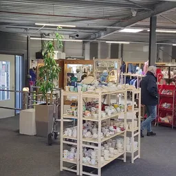 Winkelvloer met glazen vitrinekast vol huishoudelijke spullen, groen plant in pot op voorgrond, klanten winkelend in achtergr