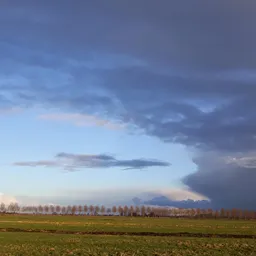 Landschapsfoto met een weiland, bomenrij en bewolkte hemel