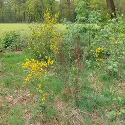 Bezoeker foto van Kringloopcentrum Stilema in Vaassen