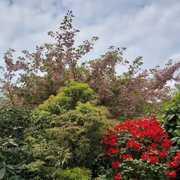 Bezoeker foto van Kringloopcentrum Stilema in Vaassen