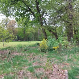 Bezoeker foto van Kringloopcentrum Stilema in Vaassen