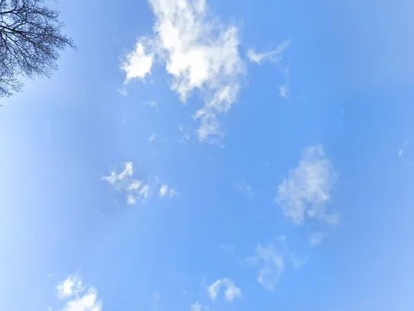 Kringloopwinkel kringloopcentrum verzamelwens in Zeist