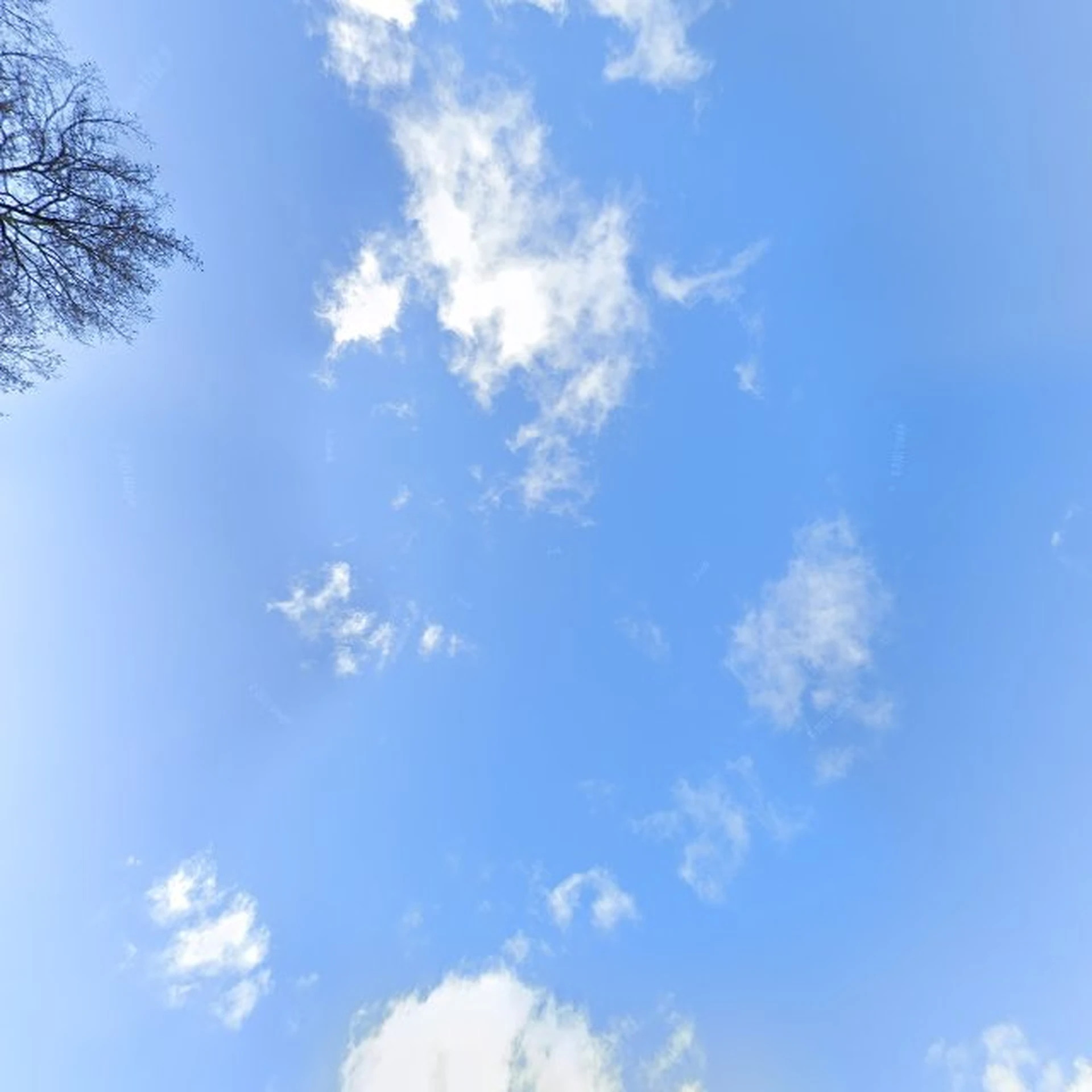 Kringloopwinkel kringloopcentrum verzamelwens in Zeist