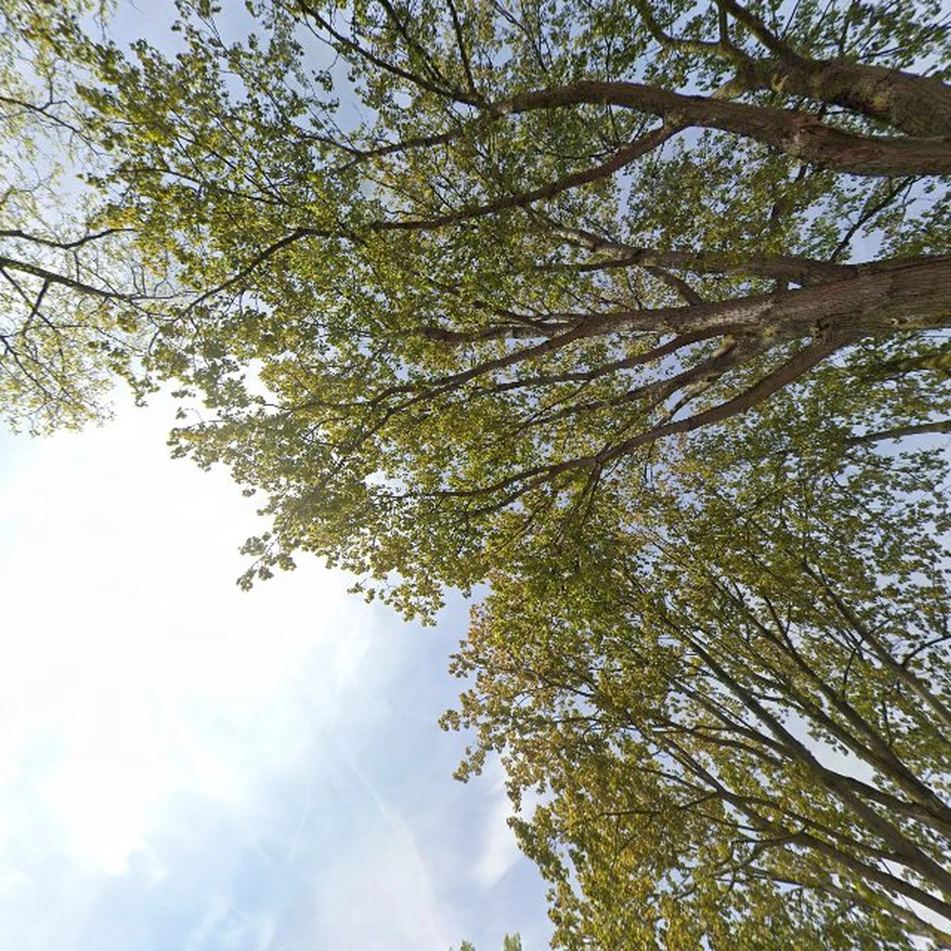 Kringloopwinkel [GESLOTEN] Kringloopcentrum Voorschoten in Voorschoten