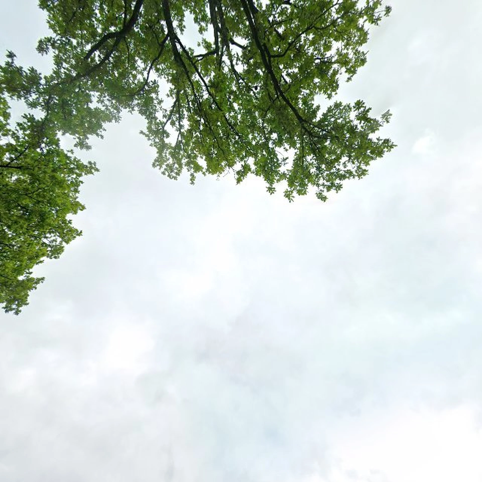 Kringloopwinkel Kringloophal Oosterwolde in Oosterwolde