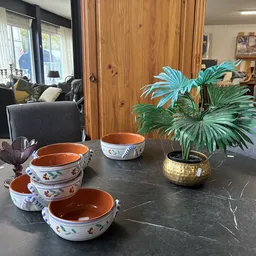 Uitgestalde decoratieve serviesgoed en potplanten op een donkere tafel in de winkel