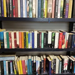 Boekenkasten met uitgestalde tweedehands boeken in verschillende formaten en kleuren