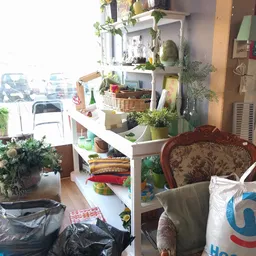 Winkelinterieur met witte stellingen vol plantenpotten, manden, boeken en huishoudartikelen; rode fauteuil op de voorgrond