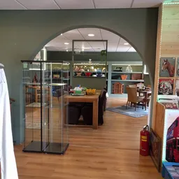 Ruim winkelinterieur met houten vloer, glazen vitrines, houten meubels en groene wanden met rekken vol spullen
