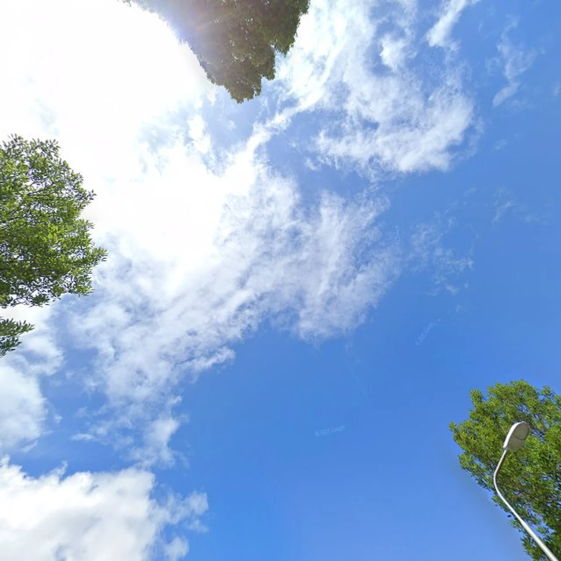 Kringloopwinkel Kringloopmarkt in Emmeloord