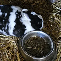 Bezoeker foto van Kringloopschuur en Kledinghuis Heidewaard in Waardenburg