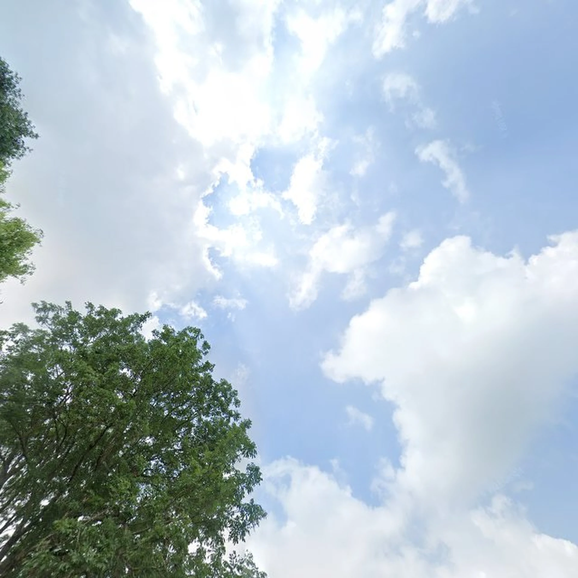 Kringloopwinkel Kringloopschuur en Kledinghuis Heidewaard in Waardenburg
