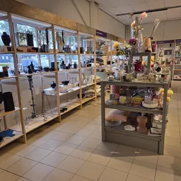 Winkelvloer met glazen vitrines en stellingen vol tweedehands spullen, huishoudartikelen en decoratie