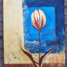 Bezoeker foto van Kringloopwarenhuis Het Goed Eindhoven in Eindhoven