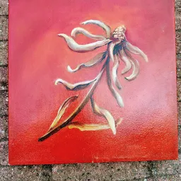 Bezoeker foto van Kringloopwarenhuis Het Goed Eindhoven in Eindhoven