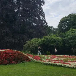 Bloemenpark met rode en witte bloempartijen en groen gazon omgeven door bomen