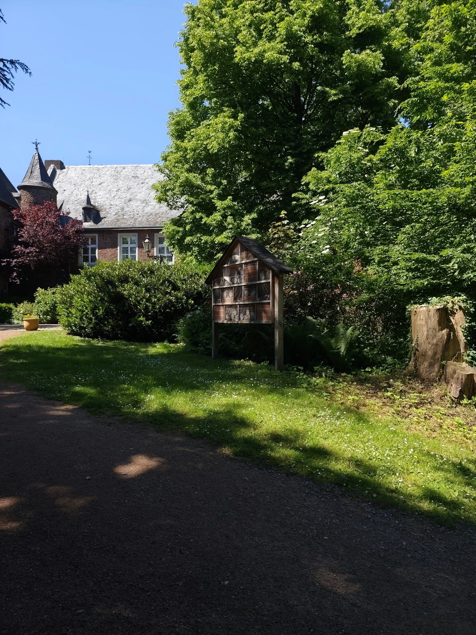 Voortuin met struiken, houten boekenhuisje en bakstenen gebouw op achtergrond