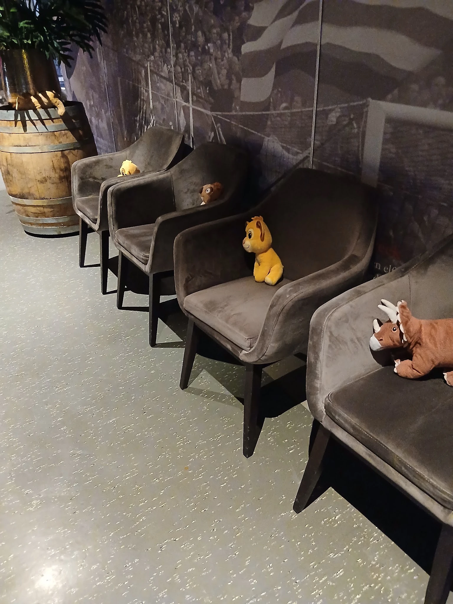 Rij grijze fauteuils met gele en bruine knuffels erop in de winkel