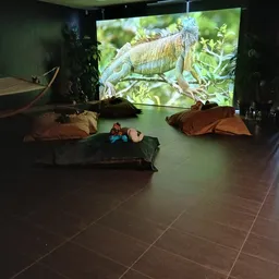 Donkere winkelruimte met zitplekken op grond en grote scherm met iguana-afbeelding