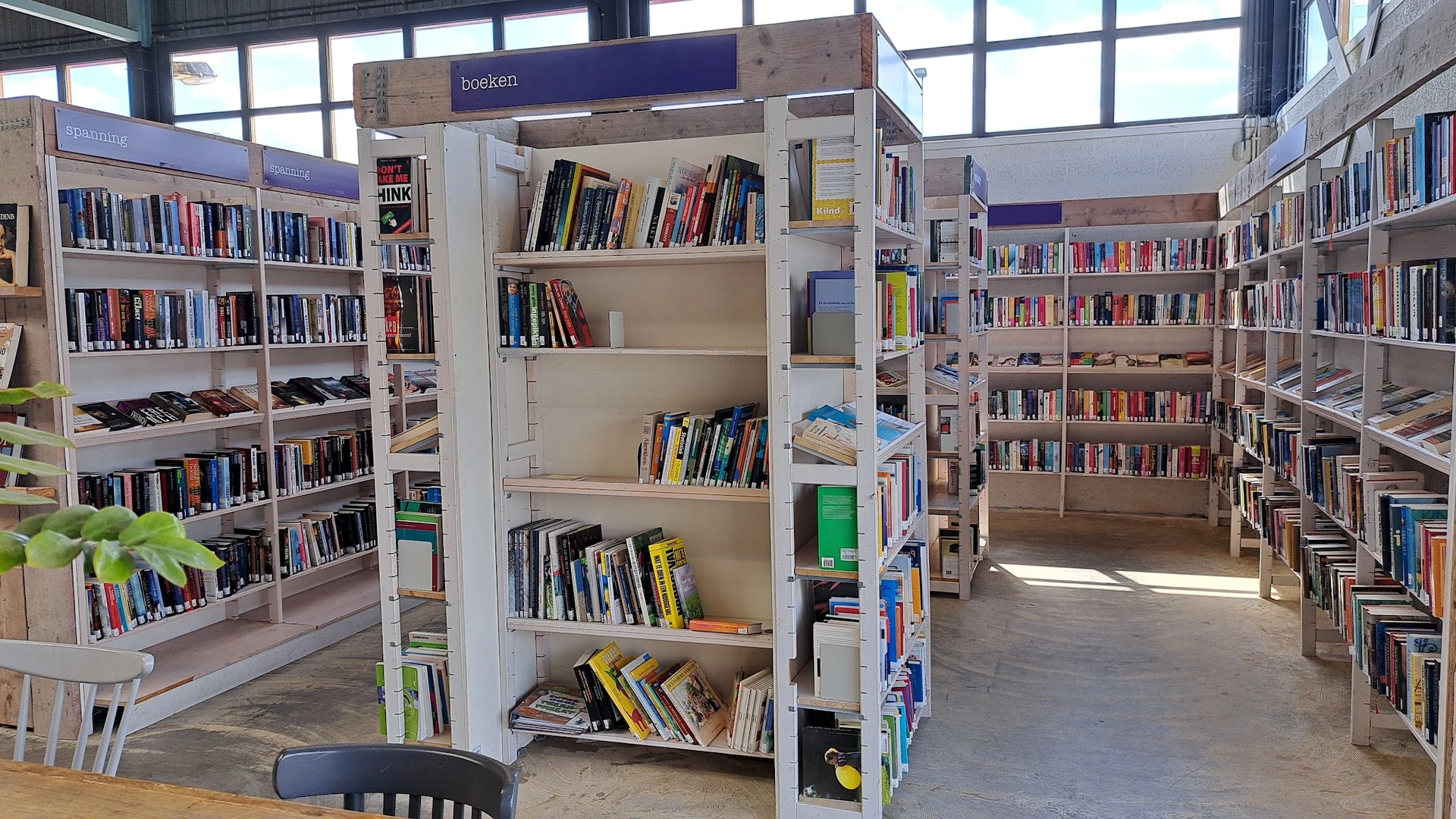 Boekenkasten met tweedehands boeken in diverse categorieën, goed verlicht door daglicht