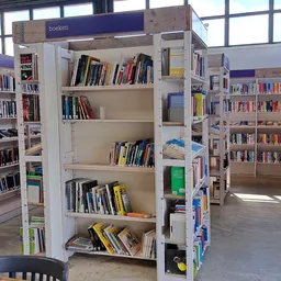 Boekenkasten met tweedehands boeken in diverse categorieën, goed verlicht door daglicht