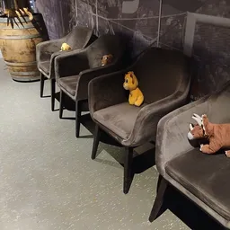 Rij grijze fauteuils met gele en bruine knuffeldieren erin als decoratie
