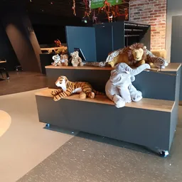 Uitgestalde pluchen dieren en knuffels op trappen in verschillende maten en kleuren