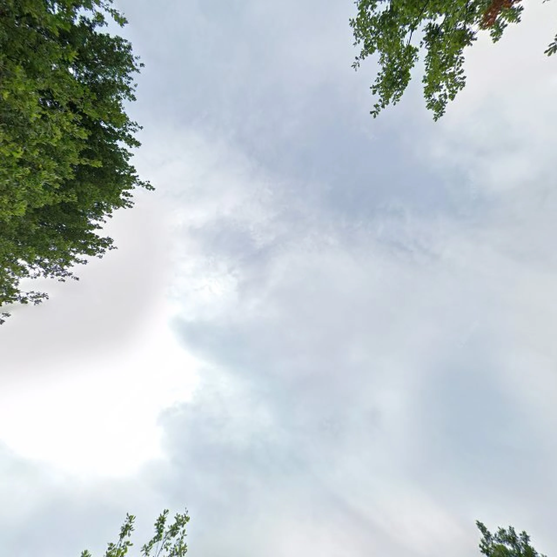 Kringloopwinkel Kringloopwarenhuis Het Goed Nuenen in Nuenen