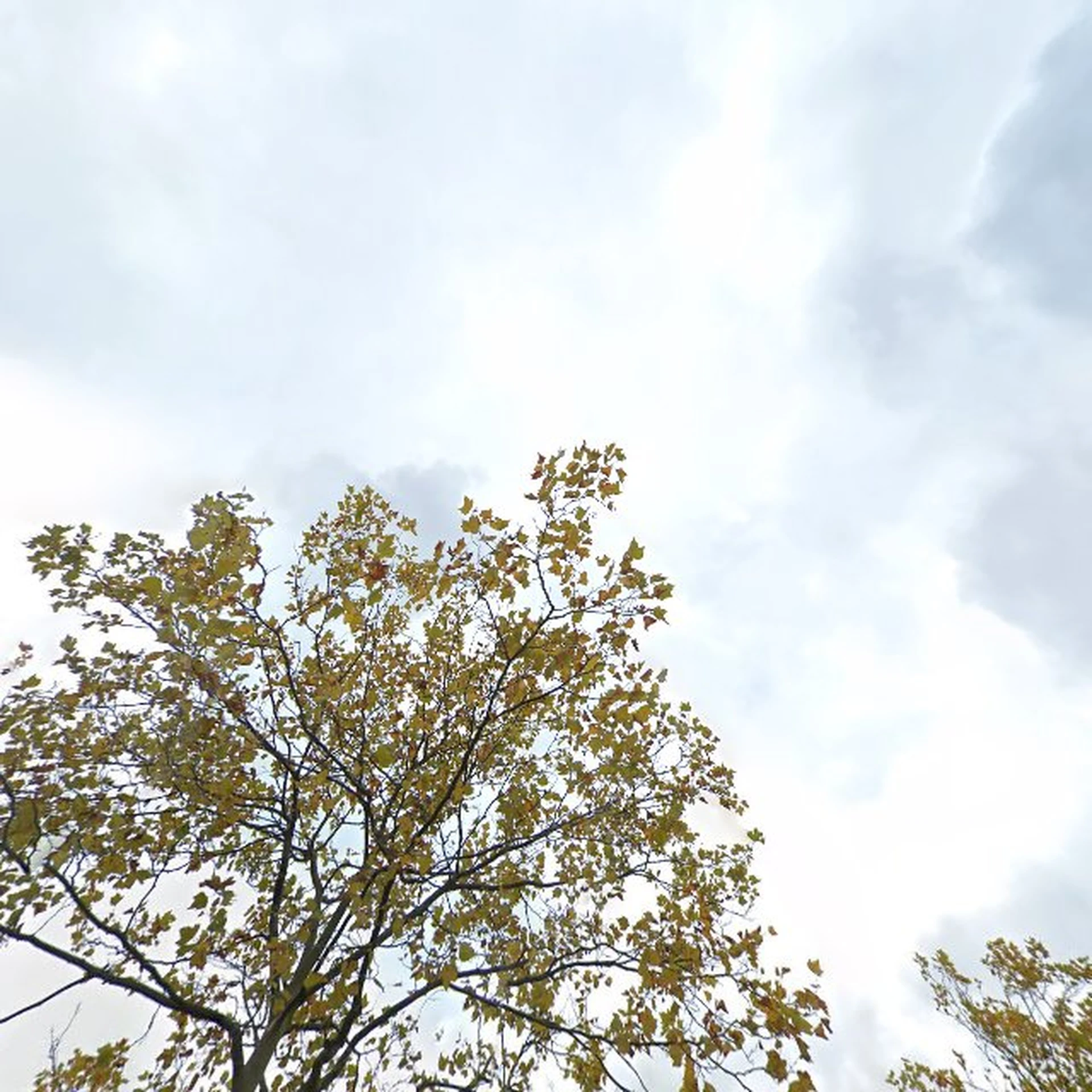 Kringloopwinkel Kringloopwarenhuis Het Goed Schiedam in Schiedam