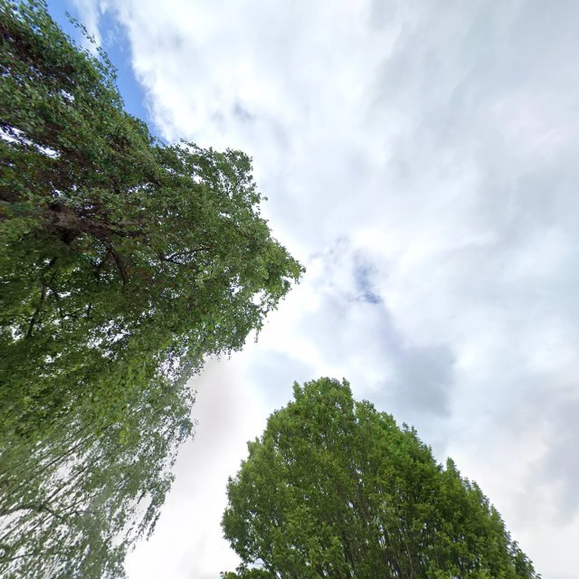 Kringloopwinkel Kringloopwarenhuis Het Goed Schijndel in Schijndel