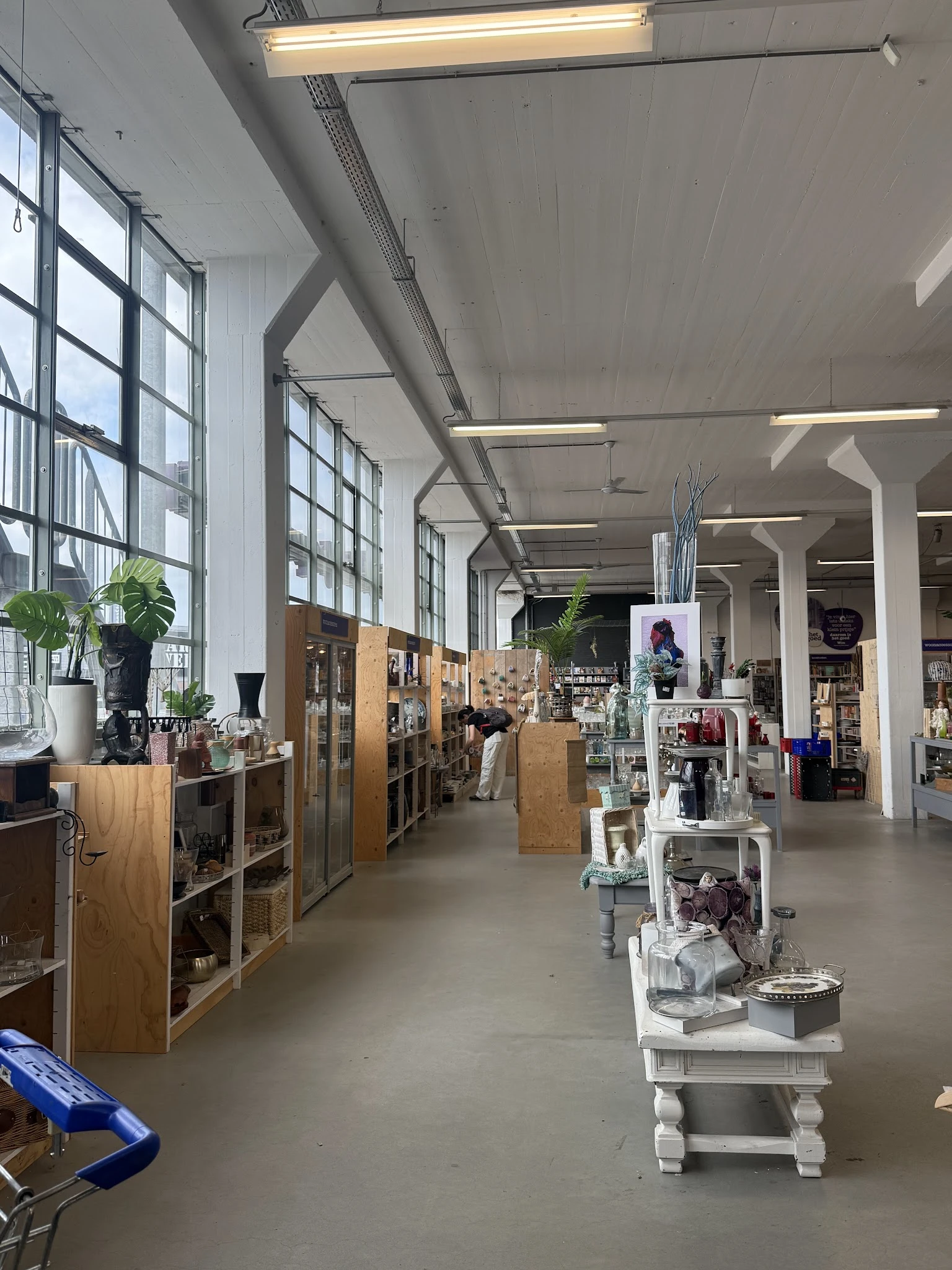 Ruim winkelinterieur met houten stellingen, witte displaykasten en groene planten langs grote ramen