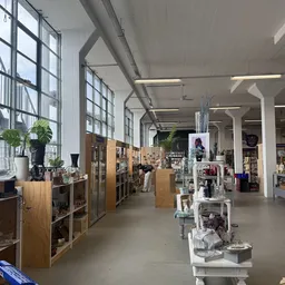 Ruim winkelinterieur met houten stellingen, witte displaykasten en groene planten langs grote ramen