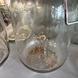 Bezoeker foto van Kringloopwarenhuis Het Goed Zoetermeer in Zoetermeer