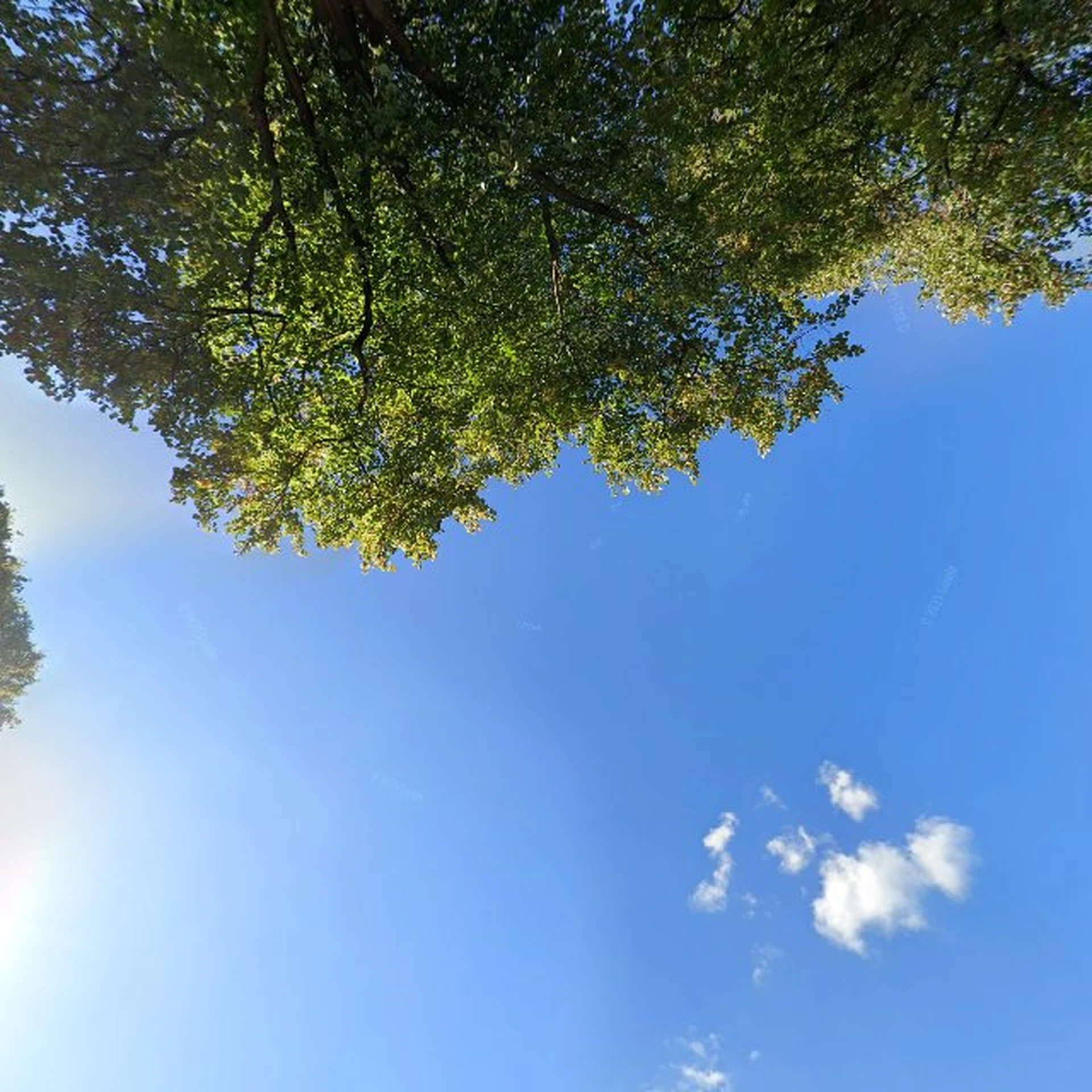Kringloopwinkel Kringloopwarenhuis Het Goed Zoetermeer in Zoetermeer