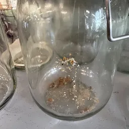 Onduidelijke close-up van inhoud in een glazen pot