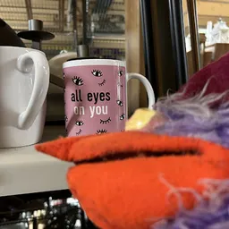 Bezoeker foto van Kringloopwinkel Abel Tasman in Grootegast