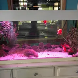 Bezoeker foto van Kringloopwinkel Alkemade in Roelofarendsveen