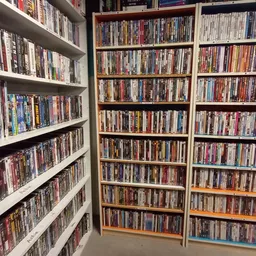 Rekken met honderden dvd's en blu-rays netjes uitgestald op witte en houten stellingen