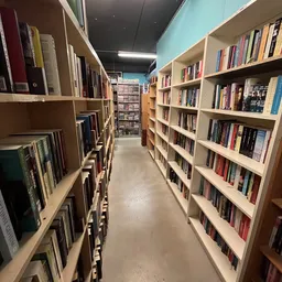 Lange gang tussen houten boekenkasten gevuld met tweedehands boeken in de winkel