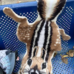 Bezoeker foto van Kringloopwinkel in Amsterdam