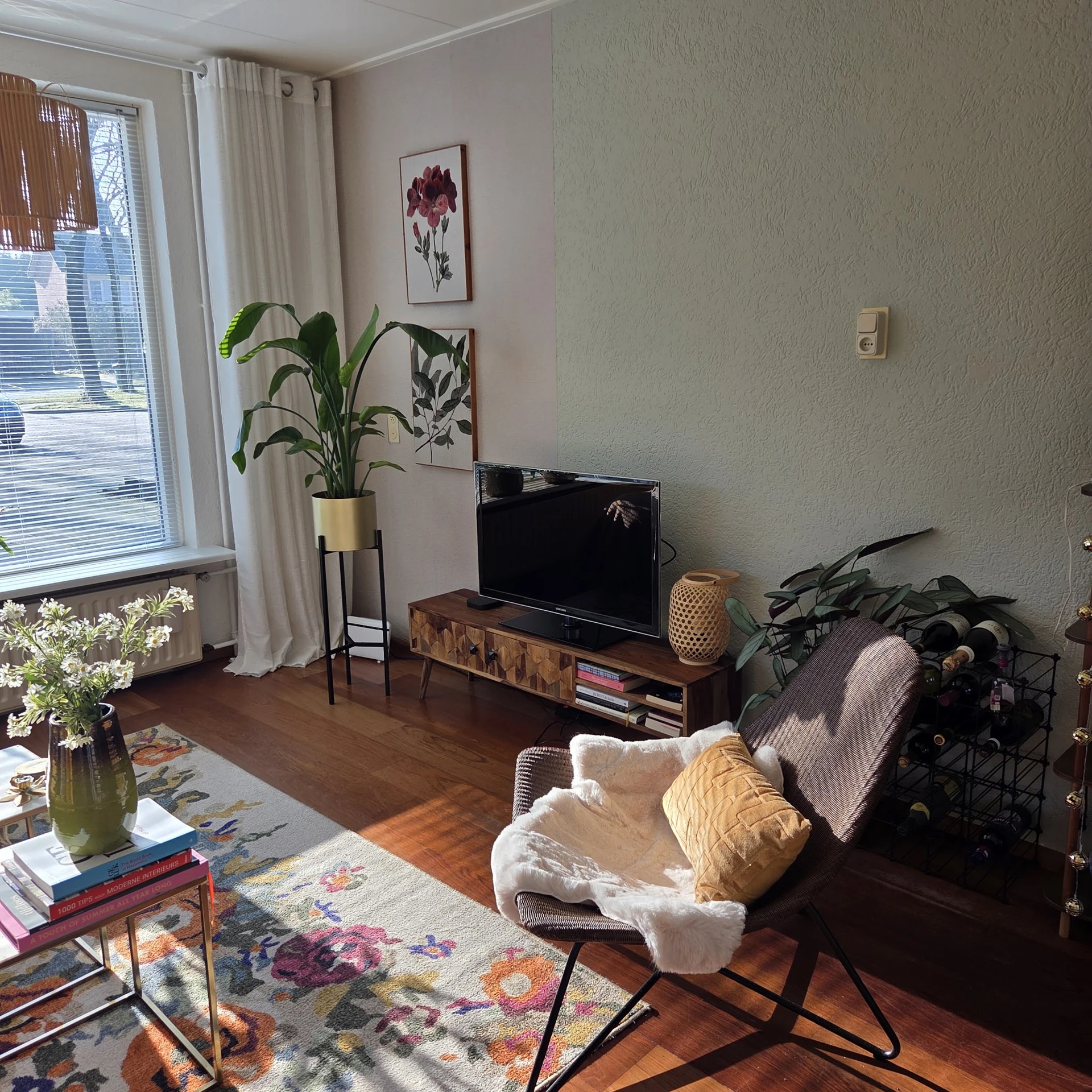 Woonkamer met TV op houten meubel, plant, bloemen in vaas, schilderijen en diverse huishoudartikelen