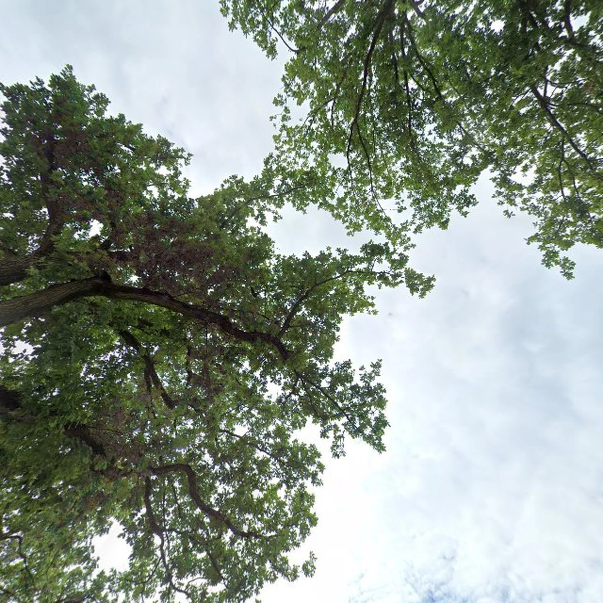 Kringloopwinkel Kringloopwinkel Berendsen Kringloop in Nieuw-Buinen