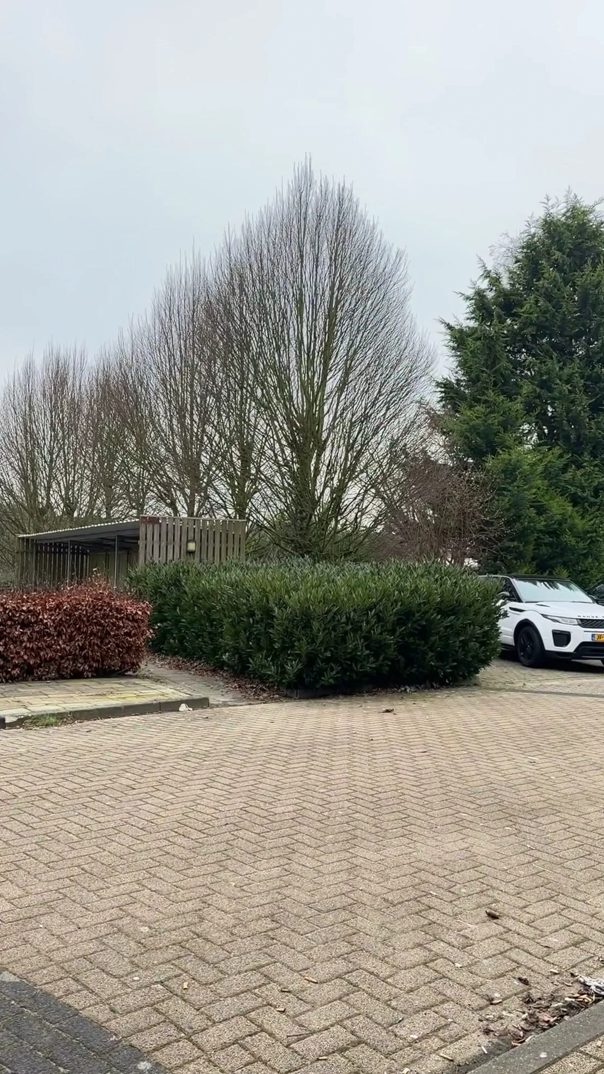 Kringloopwinkel Kringloopwinkel Bij het Spoor in Rijen