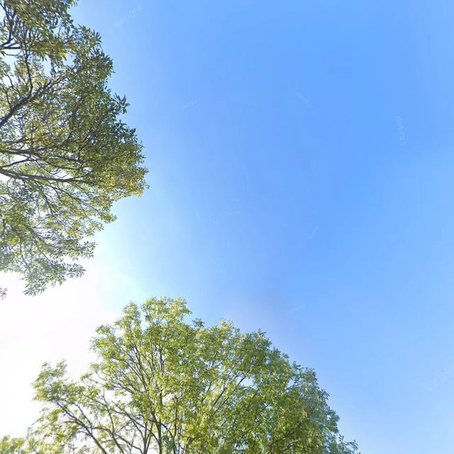 Kringloopwinkel Kringloopwinkel "bijna kitch" in Maassluis