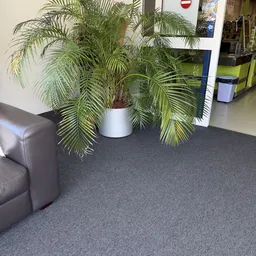 Grijze vloer met grijze bank en grote groene plant in witte pot in kringloopwinkel