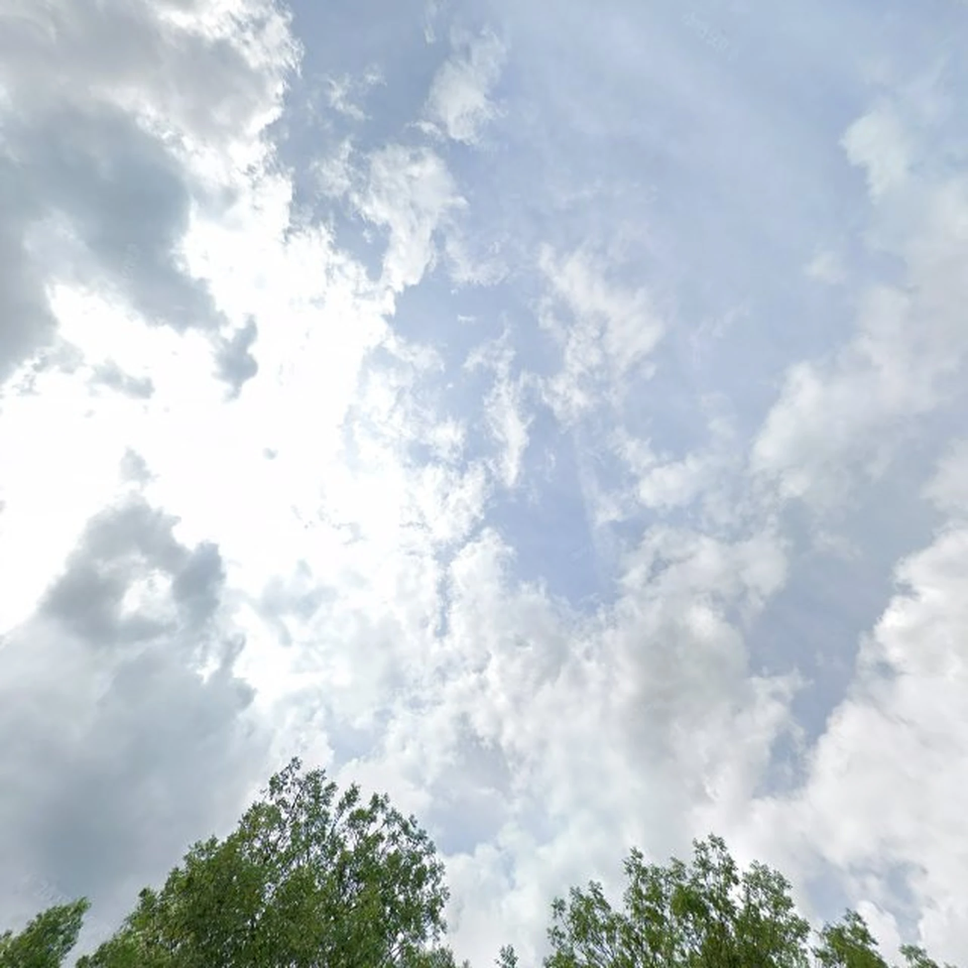 Kringloopwinkel Kringloopwinkel De Brocanterie Sevenum in Sevenum