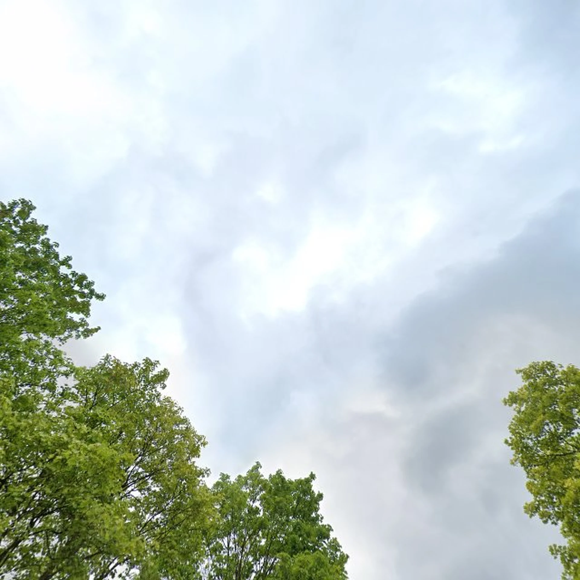 Kringloopwinkel Kringloopwinkel De Cirkel in Geldermalsen