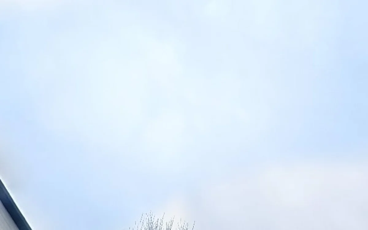 Kringloopwinkel Kringloopwinkel de Cirkel in Lisse